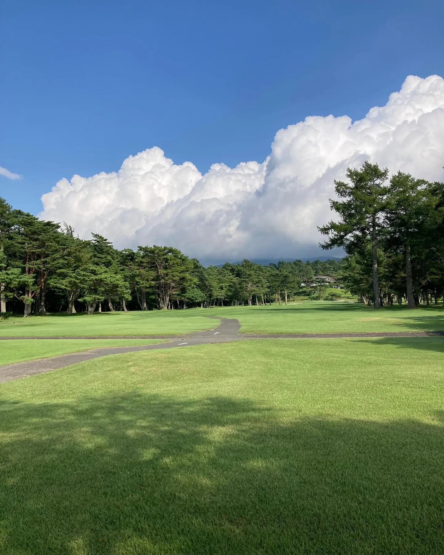 皆様　残暑厳しい今年の8月