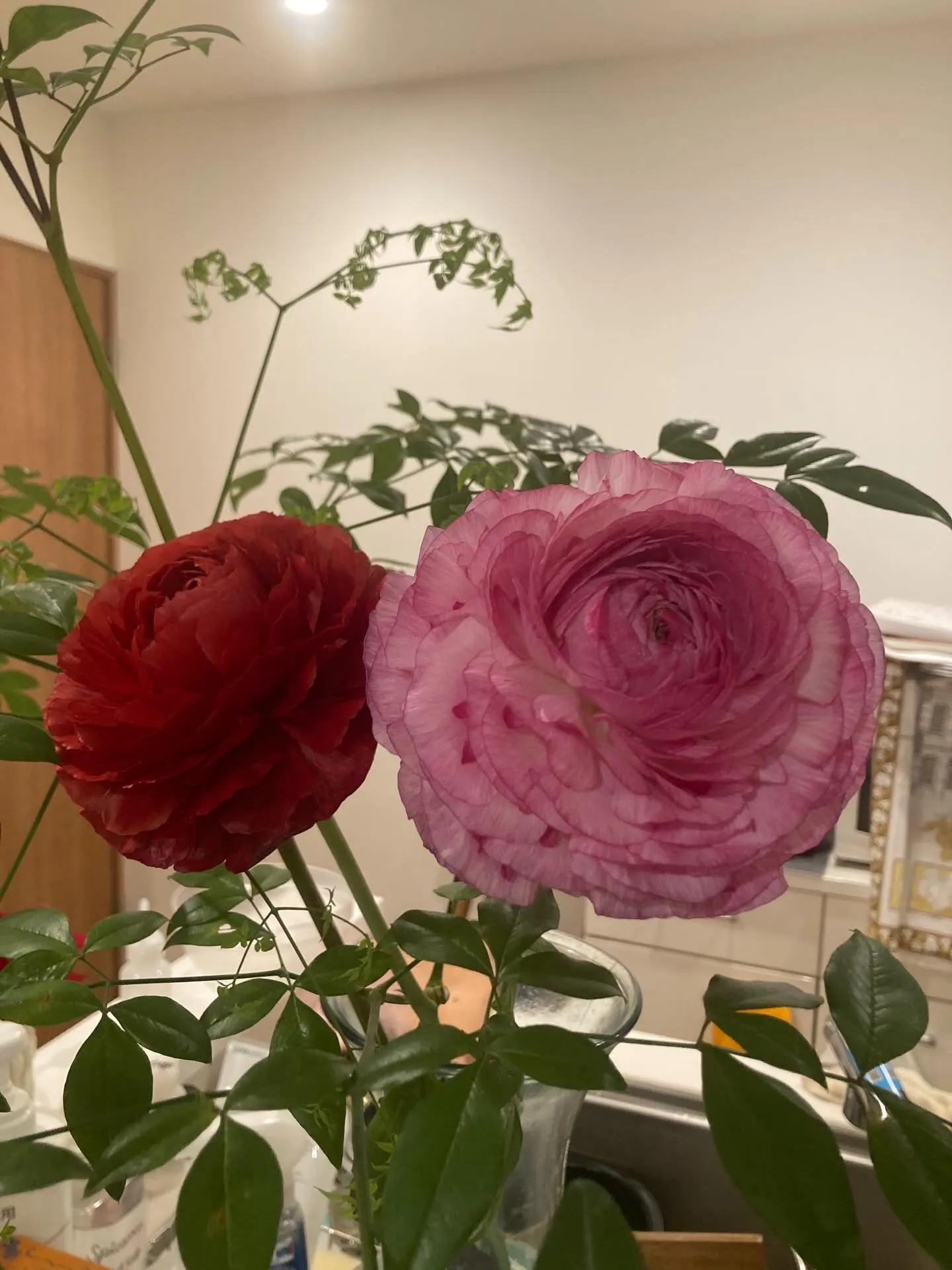 引き続き、乾燥や花粉に悩まされている大人女子の皆様へ