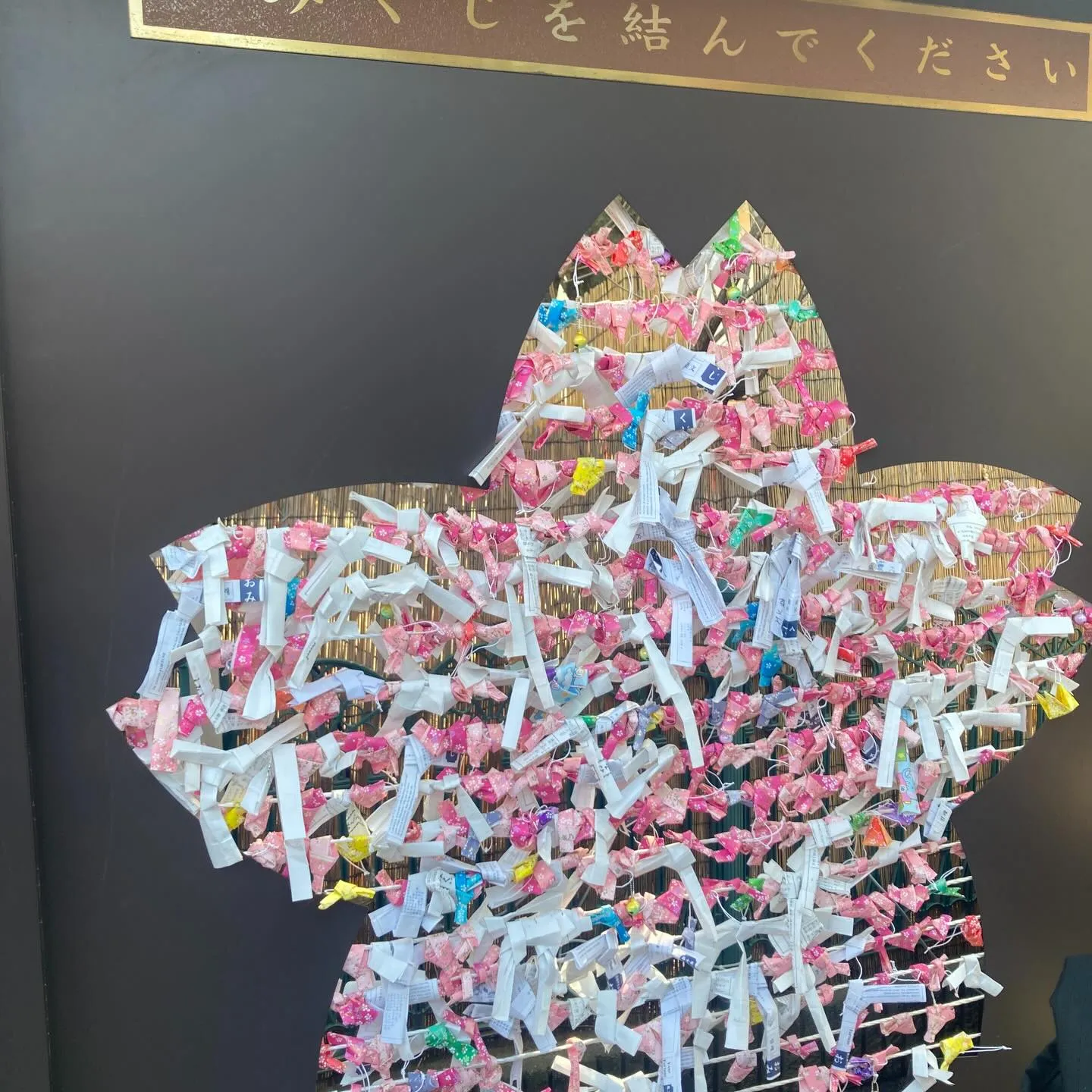 寒暖差ありますが、春の気配が感じられますね。